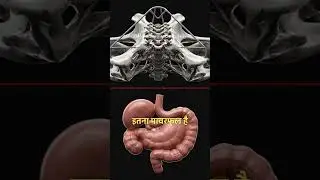 5 Human Body Secrets Jo Science Bhi Samajh Nahi Paati | Mind Blowing Facts About Human Body in Hindi