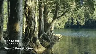【Healing Playlist】Quiet the noise outside, listen this to find your true self inside.