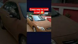 Weird Way to Keep a Car Cool in Summer! 😲 #CowDungCar #WeirdCarHack  #CarCoolingTips