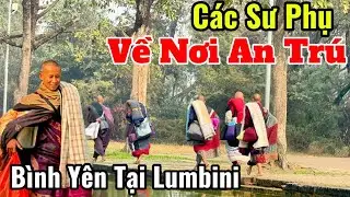 Bình Yên Tại Lumbini Nepal Cùng Các Sư Phụ Về Nơi An Trú #thayminhtue #suminhtue #thienchiukho 
