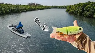 THIS GLIDEBAIT CAUGHT A GIANT FISH!