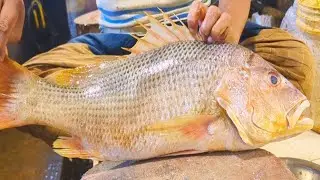 Great Red Snapper Fish Cutting Skills Live In Bangladeshi Fish Market || Fish Cutting Skills