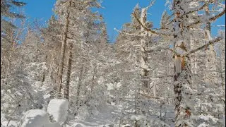 Mt. Hale