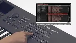 MOTIF XF Category Search