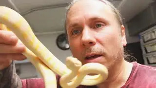 Reptile Expert Brian Barczyk Has Died From Pancreatic Cancer