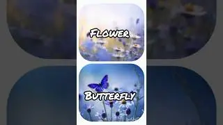#flower vs butterfly#shorts#trendy#choose any one#pranshi
