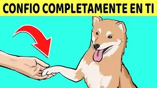 10 Señales De Que Su Perro Confía Completamente En Usted