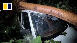Destructive scenes from Typhoon Haikui