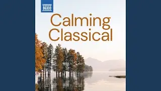 Salut d'amour, Op. 12