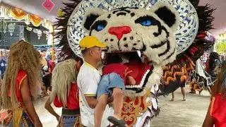 Barongan Macan Besar Nyaplok Bocil di Cabean Demak | Putro Singo Waskito