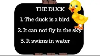 10 Line Essay On the Duck/ Duck essay in english/ Essay on duck/  Duck short essay
