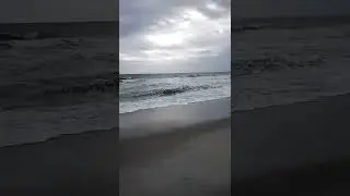 Windy day at the beach