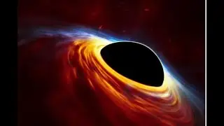 Stellar Kiwi&rsquo;s crucial black hole theory turns 60