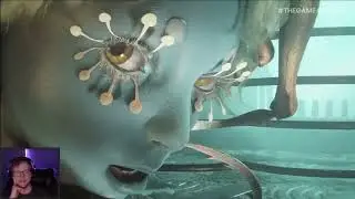 Soulframe Trailer Reactions | Video Game Awards 2025