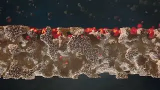 How It Works - Gasoline Particulate Filter (GPF)