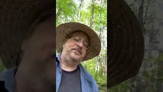 The Lost Forty: a Flute Meditation and Some Thoughts About this Sacred Place