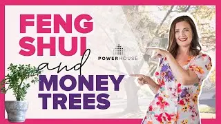 Feng Shui and Money Trees