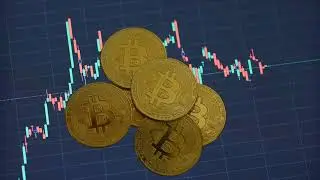 Soondex.com Review, Soondex Scam Or Genuine, Evaluating the Risks of Unregulated Platforms!