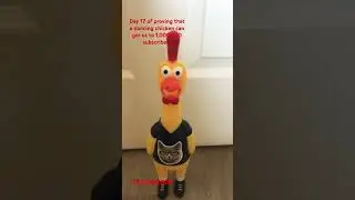 Who is subscribed already? #dancingchicken #chicken #funnychicken #funny #subscribe #shorts