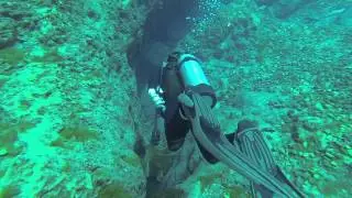 University Of Louisianan at Lafayette  Scuba Trip class summer 2015