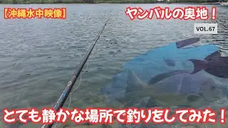 【沖縄釣り】ヤンバルの奥地！とても静かな場所！【水中映像】