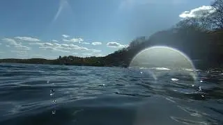 PowerDolphin Above and Below