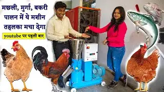 मछली, मुर्गा, बकरी, पालन में तहलका मचा देगी ये मशीन | Fish feed making machine | Chiken feed |