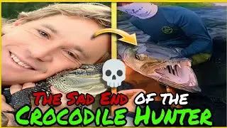What Happened to Steve Irwin? 💀 | Curious boby