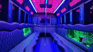18-32 Passenger Party Buses