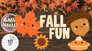 SENSORY VIDEO FOR BABIES AND TODDLERS. FALL Party! PUMPKIN FUN! #babysensory #sensorydevelopment