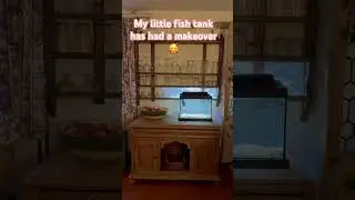 Fish Tank Set Up And Ready For Some Fish #fishtank #fishtankvlog #fishtankideas #fishtanksetup