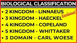 Biological Classification Diversity in the Living World | Linnaean Whittaker Kingdom Archaebacteria