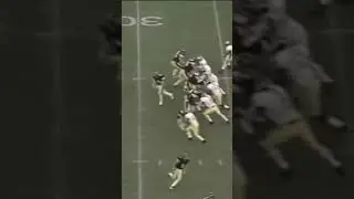 #MichiganMemoryVault - CATO JUNE - 〽️ #GoBlue