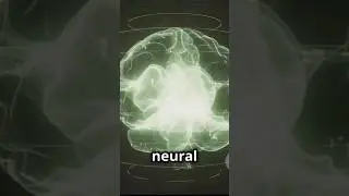 Neural Engineering@BME_Tech #neural_engineering #BME_Tech #biomedicalengineering