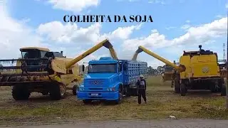 COLHEITA DA SOJA