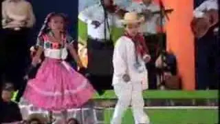 Huapango Huasteco Estilo Hidalguense