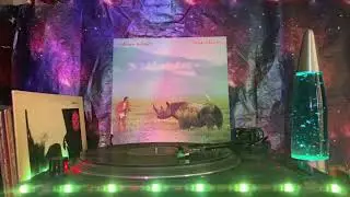 Adrian Belew (Lone Rhino) - Side 1