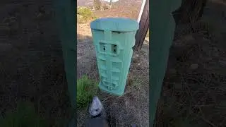 SoCal Bee Removal and Relocation- Live Bee Removal By Beekeeper Inside Of Cable Vault In Poway