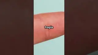 How to Remove Cactus Spines Easily!
