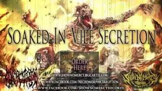 Show No Mercy Records (Necromorphic Irruption PROMO)