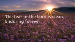 The law of the Lord is perfect