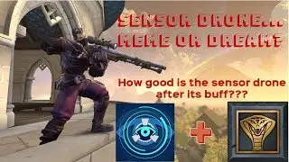 Sensor Drone: Meme or Dream?