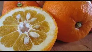 Os Benef&iacute;cios da Laranja Amarga