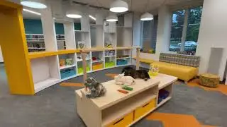 Children's Room Renovation