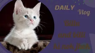 Billu or billi ki chai pr ladai 😱😱😂😂