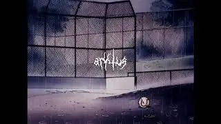 trxpicvl - i'll go anywhere