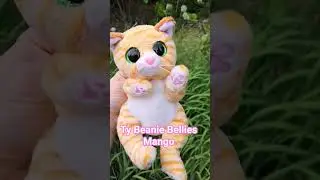 Ty Beanie Bellies Mango #ty plushiecommunity #catplush #cat #cute #typlushie #plushies
