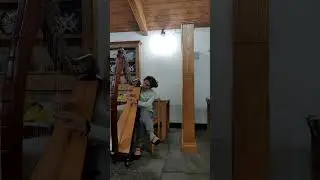 Brian Boru's March, Irish Traditional Music.           #Harp #Recap
