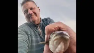 Berry Head fishing