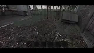 Any% Юджин (00:29) [8 место]